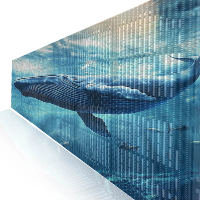 The whale is vividly displayed on the transparent screen