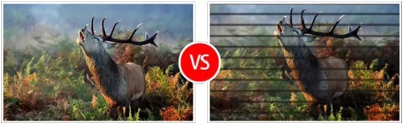 High Refresh Rate VS Low refresh rate