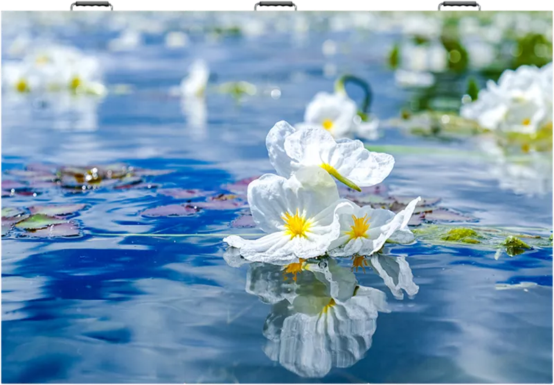 Affichage intérieur P3.91