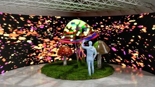 flexible LED screens